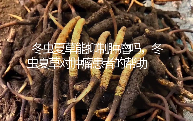 冬蟲(chóng)夏草能抑制腫瘤嗎？冬蟲(chóng)夏草對(duì)腫瘤患者的幫助