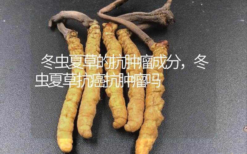 冬蟲夏草的抗腫瘤成分，冬蟲夏草抗癌抗腫瘤嗎？