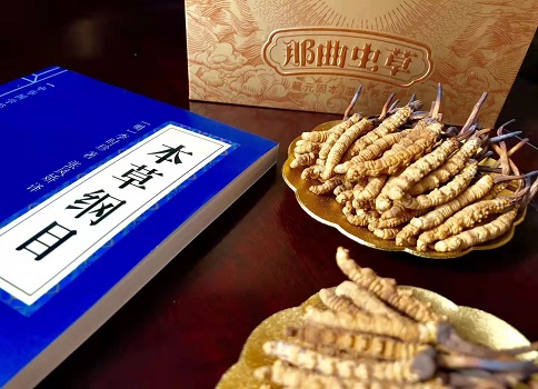 冬蟲夏草真就那么好嗎？它的主要功能是什么呀