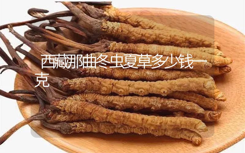 西藏那曲冬蟲(chóng)夏草多少錢(qián)一克？