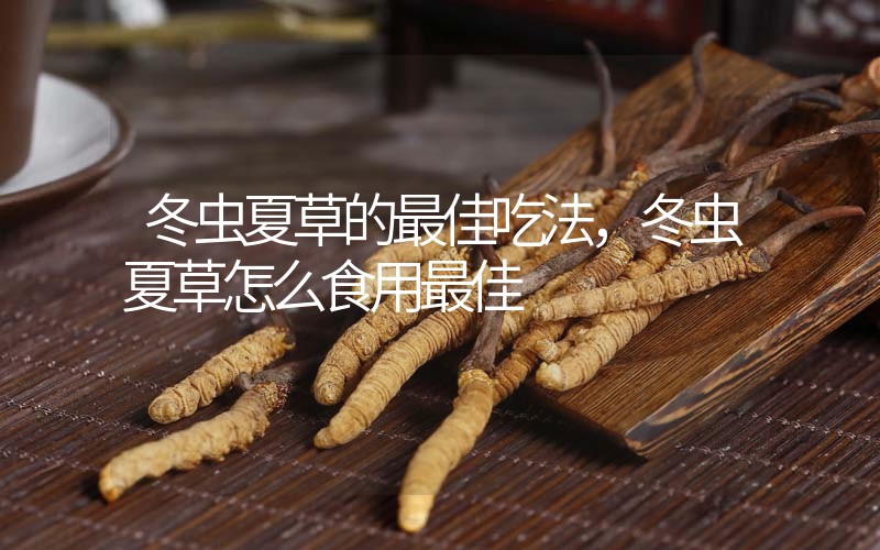 冬蟲夏草的最佳吃法，冬蟲夏草怎么食用最佳