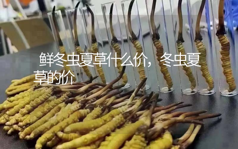 鮮冬蟲(chóng)夏草什么價(jià)，冬蟲(chóng)夏草的價(jià)格