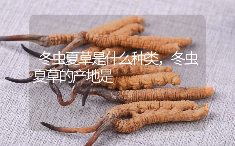 冬蟲夏草是什么種類，冬蟲夏草的產地是