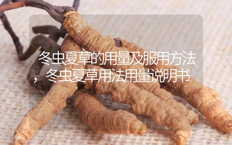 冬蟲夏草的用量及服用方法，冬蟲夏草用法用量