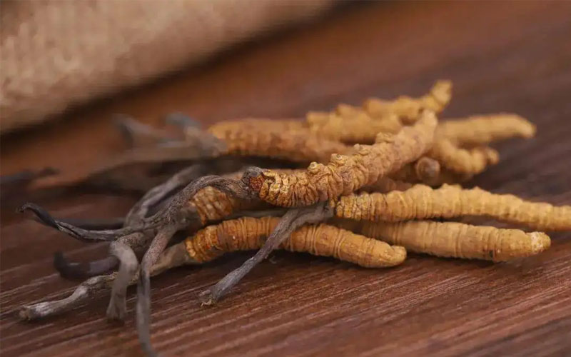 不同產(chǎn)地冬蟲(chóng)夏草價(jià)格差別大嗎？