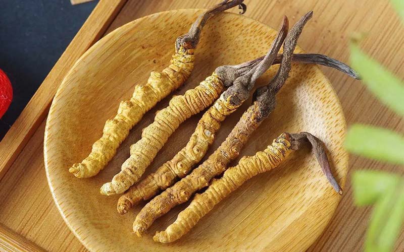 冬蟲(chóng)夏草作用可以調(diào)節(jié)身體肝臟功能嗎？