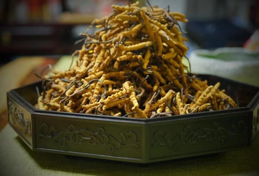 <a href=http://www.zhylvs.com/ target=_blank class=infotextkey>冬蟲夏草</a>