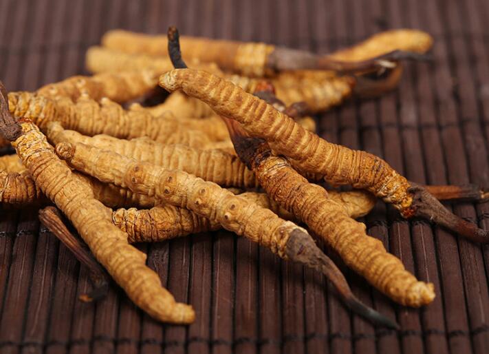 什么樣的冬蟲(chóng)夏草算是優(yōu)質(zhì)的？