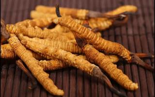 冬蟲夏草的產(chǎn)地很多，不同產(chǎn)地的蟲草價格差異巨大