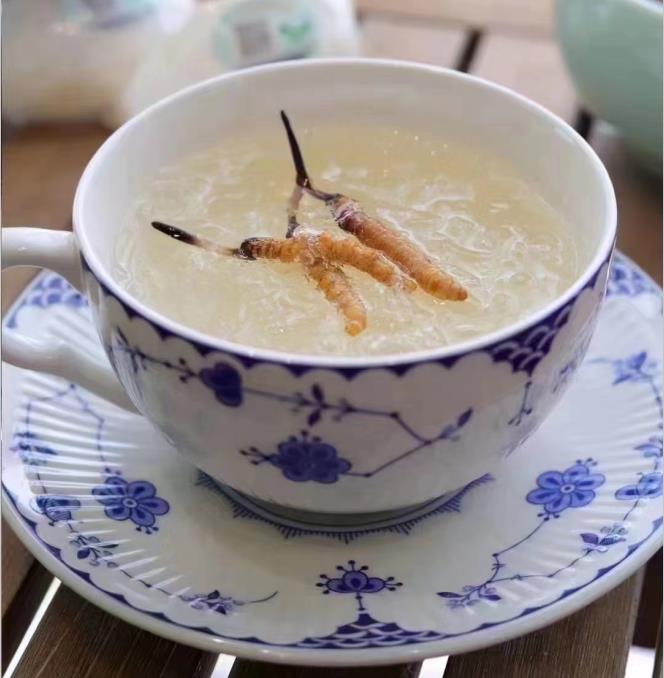養(yǎng)生小竅門：冬蟲夏草燉什么好喝？