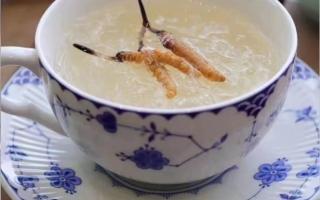 冬蟲夏草燉燕窩怎么做？