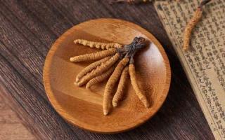 人工種植的冬蟲夏草品質究竟怎么樣？