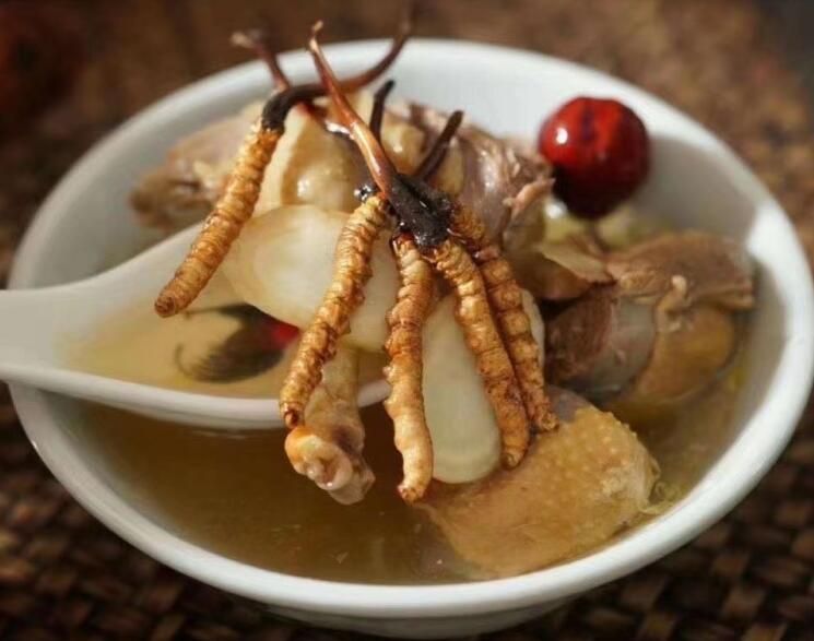 冬蟲夏草可以空腹吃嗎？