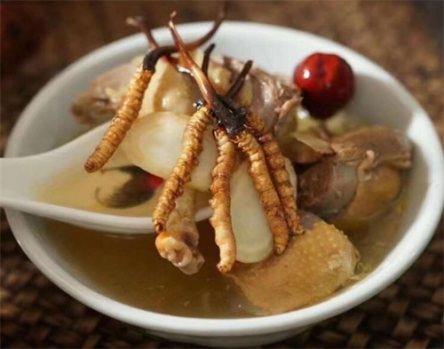 燉冬蟲夏草可以加枸杞嗎？