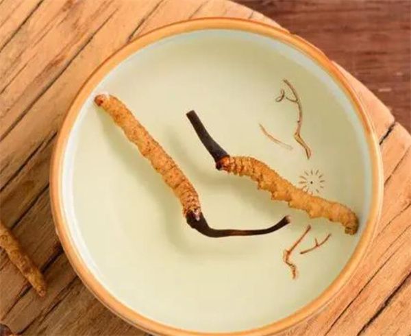 老人怎樣服用冬蟲(chóng)夏草？