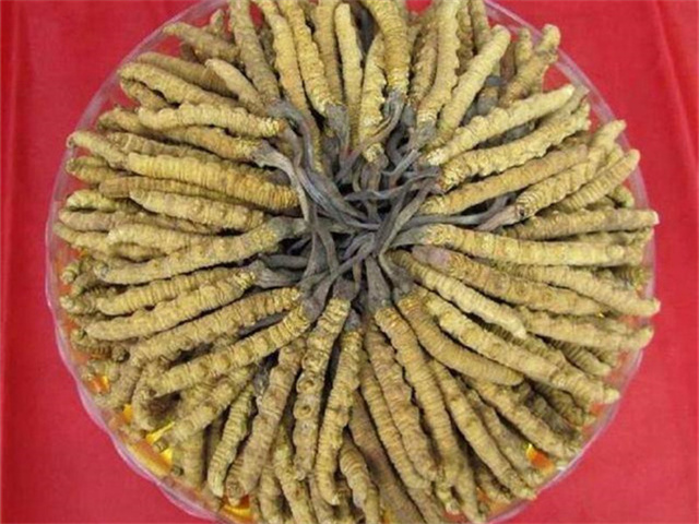 冬蟲夏草價(jià)格一克多少錢？影響冬蟲夏草價(jià)格的4個(gè)因素