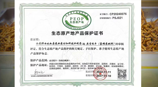 德耀娜秀 奮進(jìn)比如║熱烈祝賀！比如縣“亞貢牦?！比脒x農(nóng)業(yè)農(nóng)村部全國名特優(yōu)新農(nóng)產(chǎn)品名錄