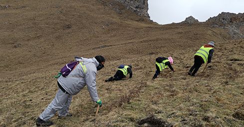 <a href=http://www.zhylvs.com/sdph/zf/ target=_blank class=infotextkey>珍峰冬蟲夏草</a>：源自世界屋脊的養(yǎng)生瑰寶