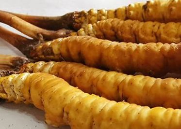 <a href=http://www.zhylvs.com/sdph/zf/ target=_blank class=infotextkey>珍峰冬蟲夏草</a>主要的銷售模式