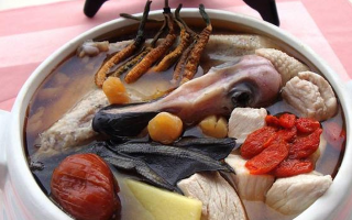 小孩可以喝冬蟲夏草嗎