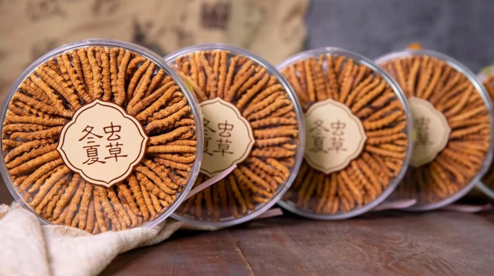 <a href=http://www.zhylvs.com/chanpin/ target=_blank class=infotextkey>冬蟲夏草一盒多少錢</a>？全方位剖析價(jià)格構(gòu)成