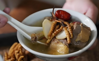 冬蟲夏草搭配有道，滋養(yǎng)肺部效果妙
