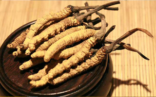 冬蟲夏草真?zhèn)伪鎰e全指南：5 招識(shí)破造假陷阱