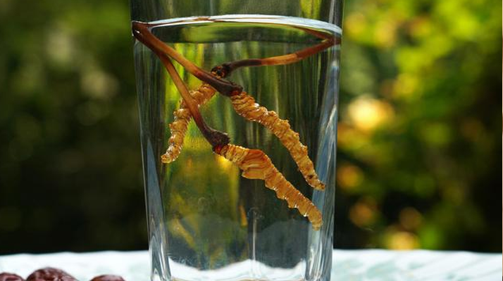 <a href=http://www.zhylvs.com/xinxian/ target=_blank class=infotextkey>鮮冬蟲夏草</a>怎么泡好吃？這些配方讓滋補更有滋味