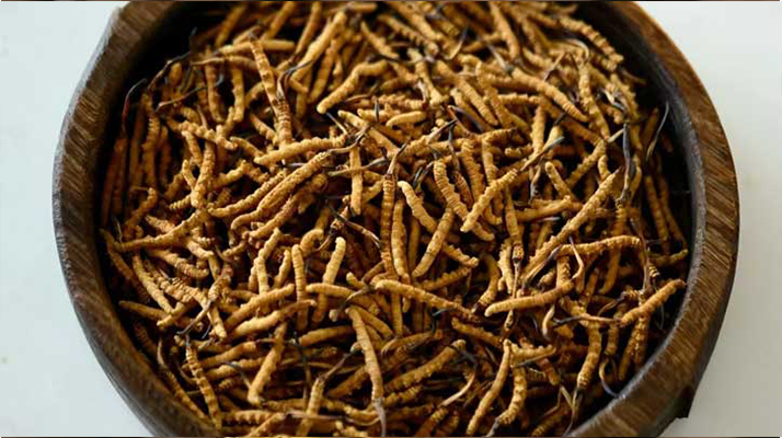 <a href=http://www.zhylvs.com/jiage/ target=_blank class=infotextkey>冬蟲夏草價(jià)格</a>探秘：多因素交織下的市場行情