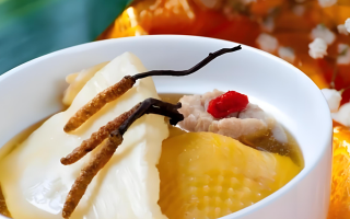 冬蟲夏草每天什么時候吃最好？一文詳解最佳食用時間