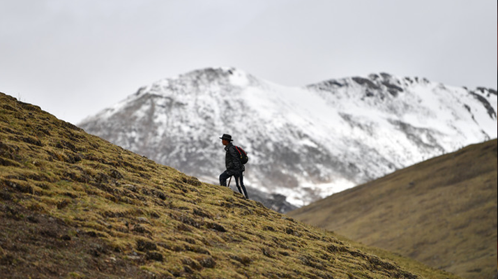 冬蟲(chóng)夏草適合在什么地方生長(zhǎng)