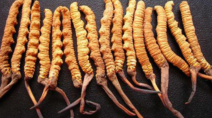 一克<a href=http://www.zhylvs.com/jiage/ target=_blank class=infotextkey>冬蟲夏草多少錢</a>？解密天價(jià)背后的價(jià)格密碼