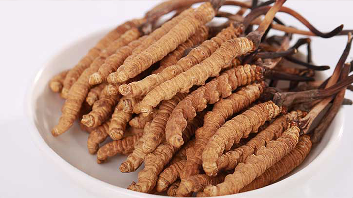 冬蟲(chóng)夏草每日用量幾克