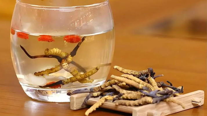 冬蟲夏草與枸杞能一起泡酒嗎？科學搭配與飲用指南