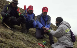 冬蟲夏草：把握最佳采摘季，守護(hù)自然饋贈