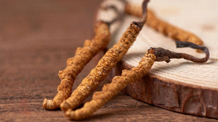 純野生<a href=http://www.zhylvs.com/jiage/ target=_blank class=infotextkey>冬蟲夏草價(jià)格</a>剖析：多因素交織下的價(jià)值體現(xiàn)