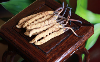 探秘長(zhǎng)期收購(gòu)冬蟲(chóng)夏草的買(mǎi)家：市場(chǎng)脈絡(luò)中的關(guān)鍵角色