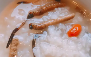 冬蟲夏草適合哪些人群？精準匹配與禁忌提醒