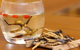 長期喝冬蟲夏草泡水好嗎？科學分析與飲用指南