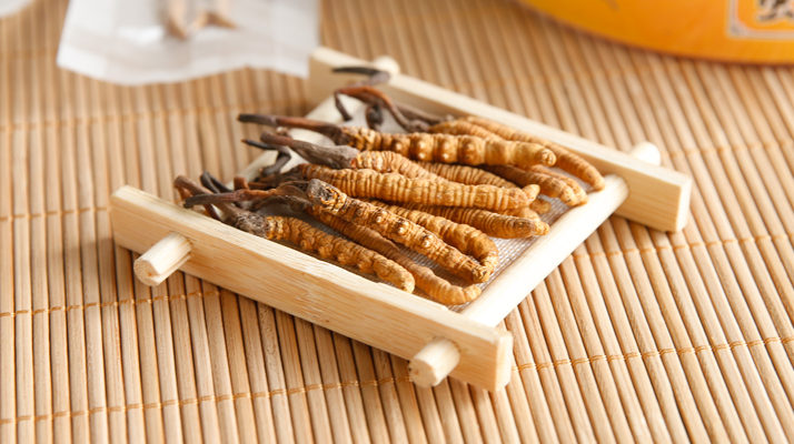 冬蟲夏草老鴨湯怎么燉？鮮香滋補(bǔ)的詳細(xì)做法與技巧