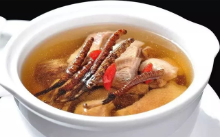 冬蟲夏草怎樣燉是最好的？掌握這幾步，營(yíng)養(yǎng)不流失還美味