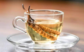 一瓶酒泡多少冬蟲夏草？科學(xué)搭配有講究