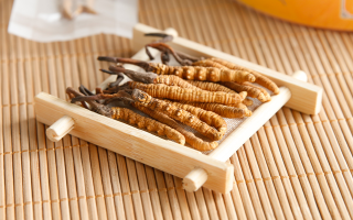 這些藥材形似冬蟲夏草，辨別要點需牢記