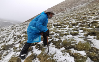 西藏挖冬蟲(chóng)夏草在什么時(shí)候？產(chǎn)區(qū)與時(shí)間全攻略