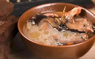 冬蟲夏草治什么病效果好？厘清輔助調(diào)理邊界與適用場景