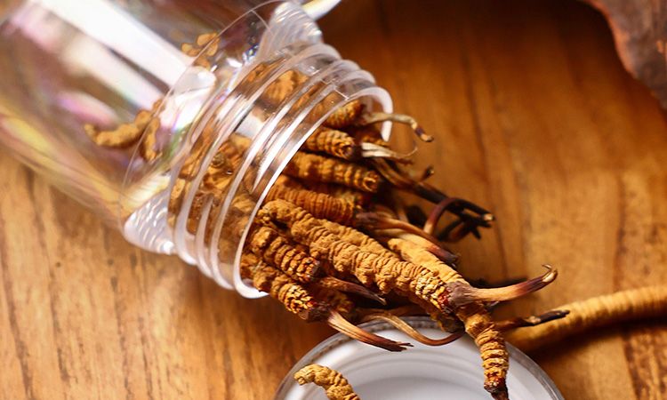 <a href=http://www.zhylvs.com/jiage/ target=_blank class=infotextkey>冬蟲夏草多少錢</a>一條 