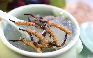 十根冬蟲夏草能泡幾斤酒？泡酒比例與細節(jié)指南