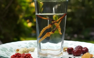 人參配蟲草泡酒，泡多久才好喝？咱跟你說實在的