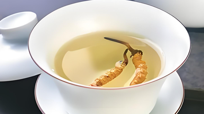 鮮冬蟲夏草可以煮水喝嗎？有什么功效和作用？