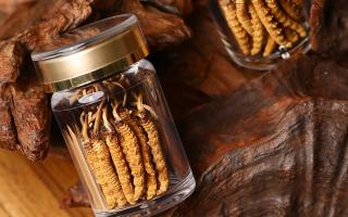 冬蟲夏草養(yǎng)生指南：分清滋補功效，避開養(yǎng)生誤區(qū)